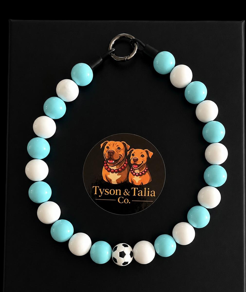 Argentina FIFA World Cup necklace